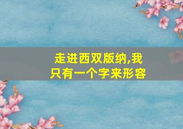 走进西双版纳,我只有一个字来形容