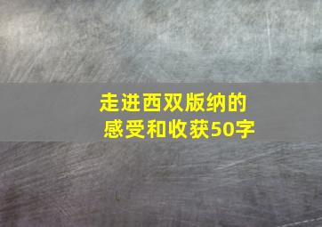 走进西双版纳的感受和收获50字