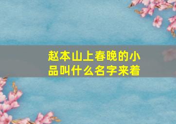 赵本山上春晚的小品叫什么名字来着