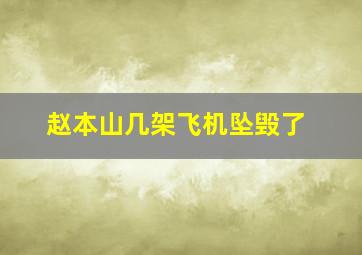 赵本山几架飞机坠毁了