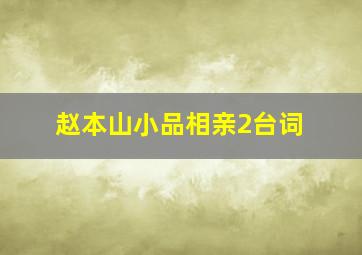 赵本山小品相亲2台词