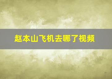 赵本山飞机去哪了视频