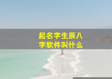 起名字生辰八字软件叫什么