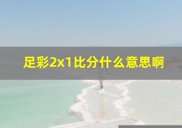 足彩2x1比分什么意思啊