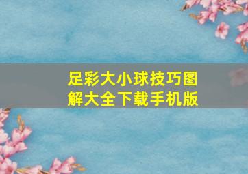 足彩大小球技巧图解大全下载手机版