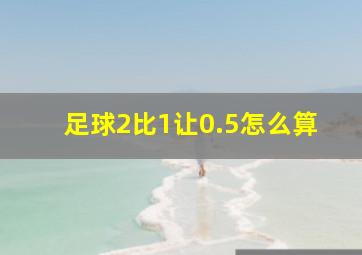 足球2比1让0.5怎么算