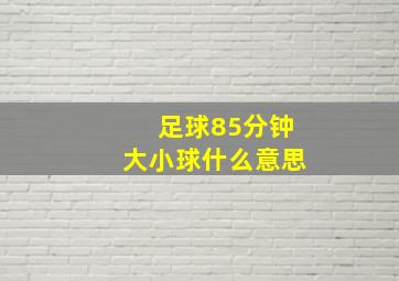 足球85分钟大小球什么意思