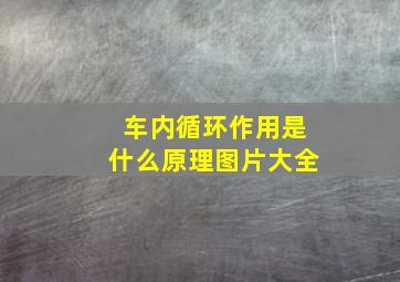 车内循环作用是什么原理图片大全