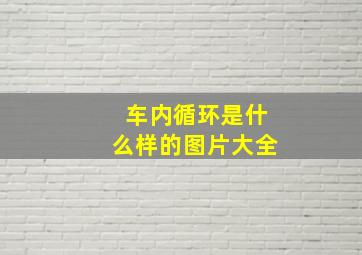 车内循环是什么样的图片大全