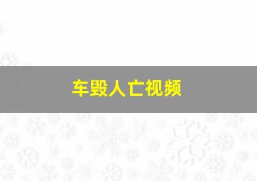 车毁人亡视频