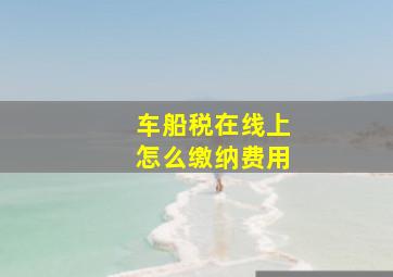 车船税在线上怎么缴纳费用