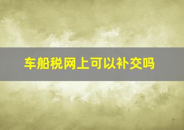 车船税网上可以补交吗