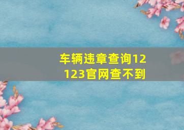 车辆违章查询12123官网查不到