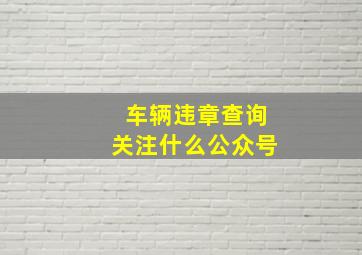 车辆违章查询关注什么公众号