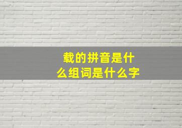 载的拼音是什么组词是什么字