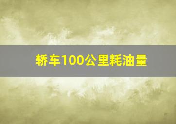 轿车100公里耗油量