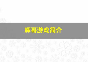 辉哥游戏简介