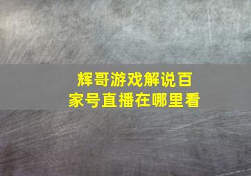 辉哥游戏解说百家号直播在哪里看