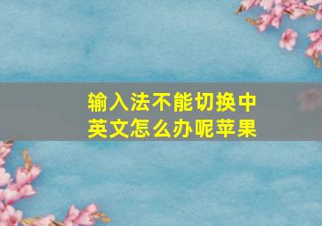 输入法不能切换中英文怎么办呢苹果