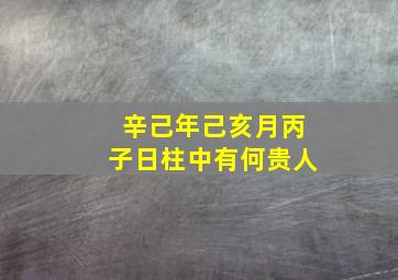 辛己年己亥月丙子日柱中有何贵人