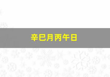 辛巳月丙午日