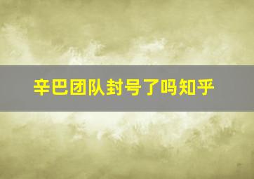 辛巴团队封号了吗知乎