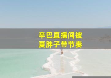 辛巴直播间被夏胖子带节奏