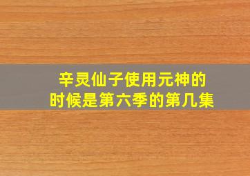 辛灵仙子使用元神的时候是第六季的第几集