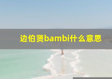 边伯贤bambi什么意思