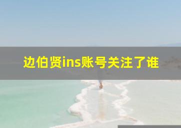 边伯贤ins账号关注了谁