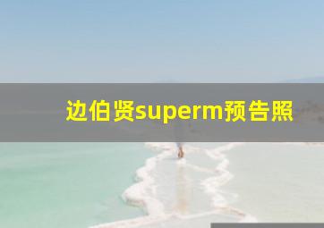 边伯贤superm预告照