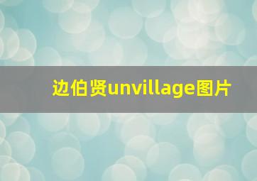 边伯贤unvillage图片