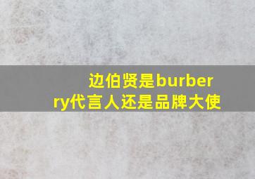 边伯贤是burberry代言人还是品牌大使