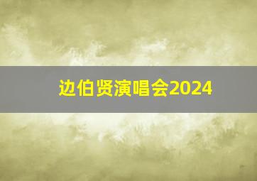 边伯贤演唱会2024