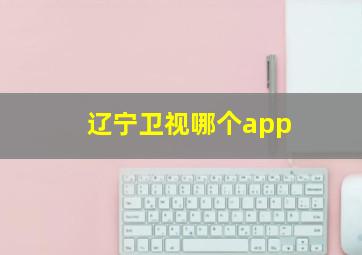 辽宁卫视哪个app