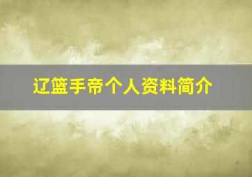 辽篮手帝个人资料简介