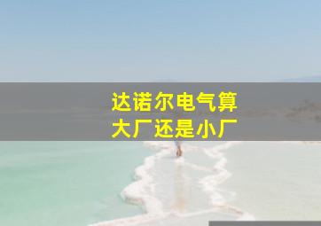 达诺尔电气算大厂还是小厂