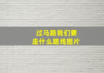 过马路我们要走什么路线图片