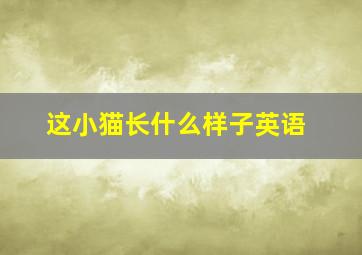 这小猫长什么样子英语