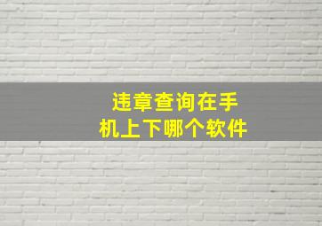 违章查询在手机上下哪个软件