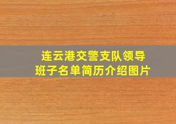 连云港交警支队领导班子名单简历介绍图片