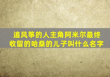 追风筝的人主角阿米尔最终收留的哈桑的儿子叫什么名字