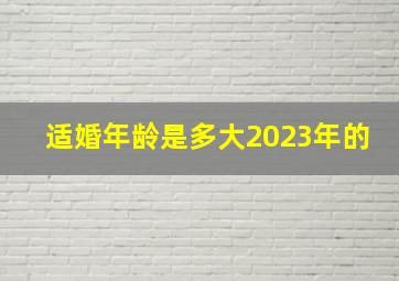 适婚年龄是多大2023年的