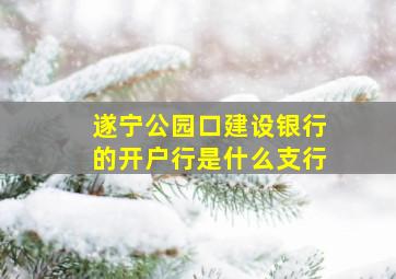 遂宁公园口建设银行的开户行是什么支行