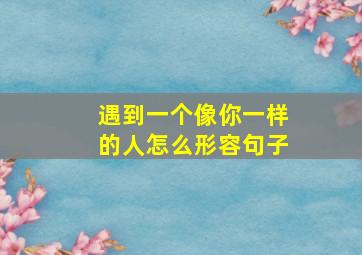 遇到一个像你一样的人怎么形容句子