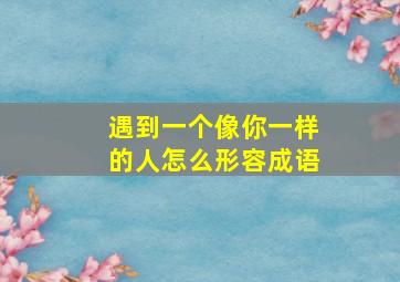 遇到一个像你一样的人怎么形容成语