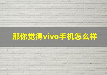 那你觉得vivo手机怎么样