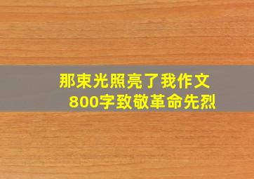 那束光照亮了我作文800字致敬革命先烈