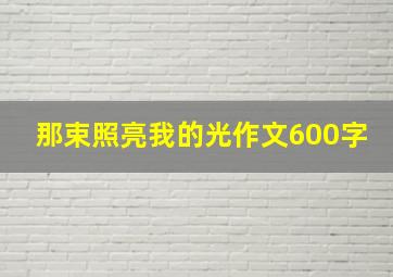 那束照亮我的光作文600字