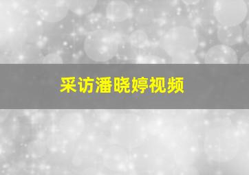 采访潘晓婷视频